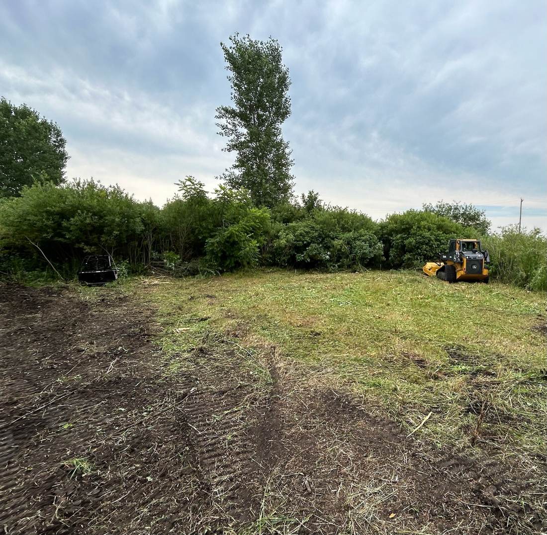 Cleared, open land after brush removal