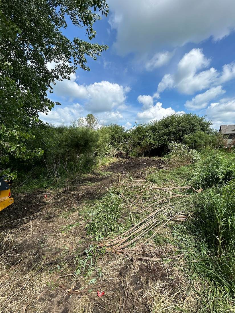 Land partially cleared, brush piled for removal