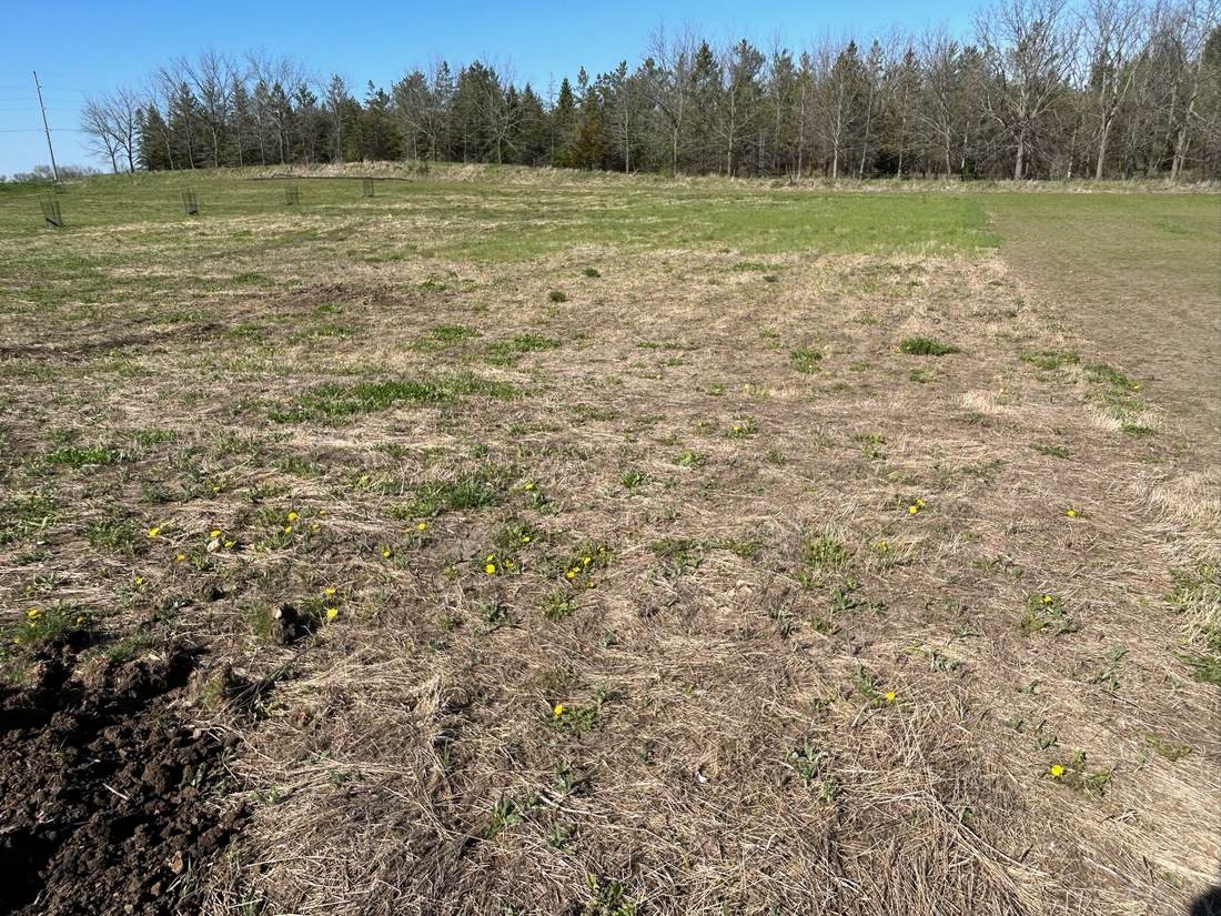 Field before soil conditioning