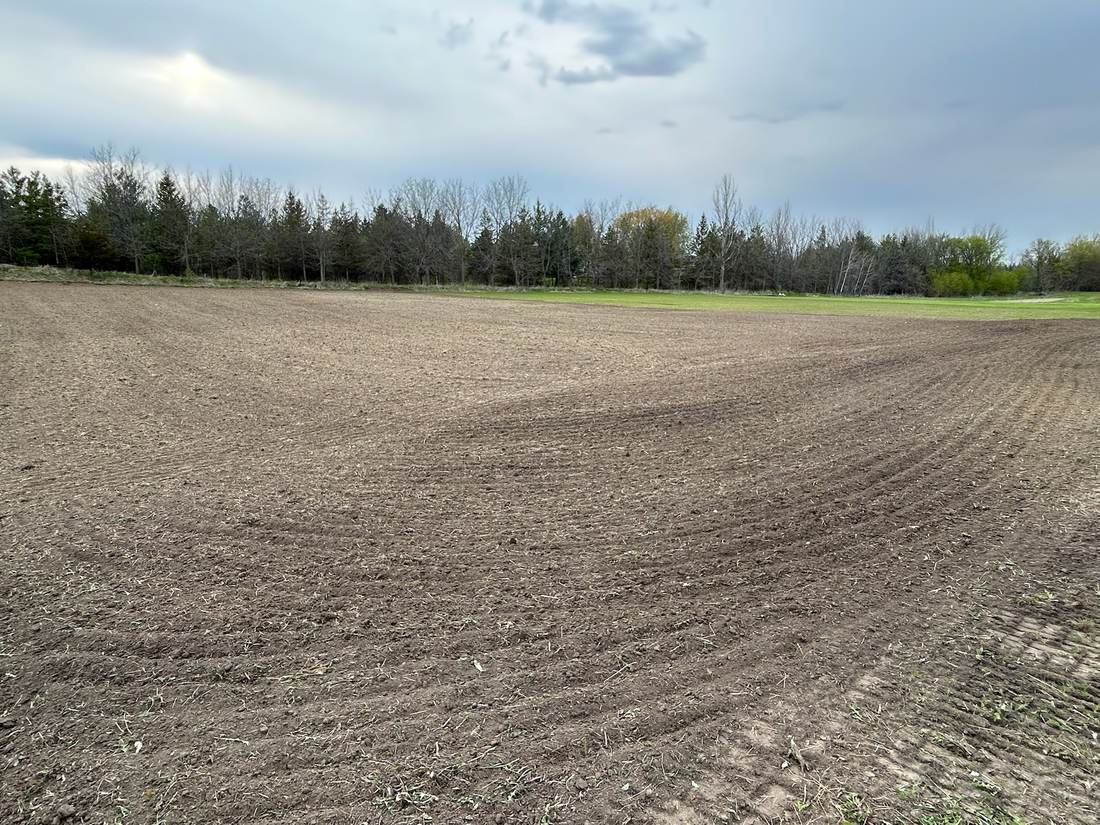 Ground after soil conditioning, freshly worked and level, second project