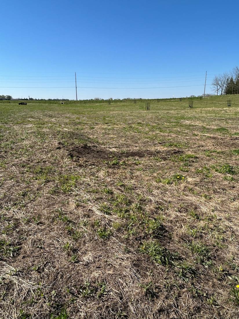 Ground before soil conditioning, second project