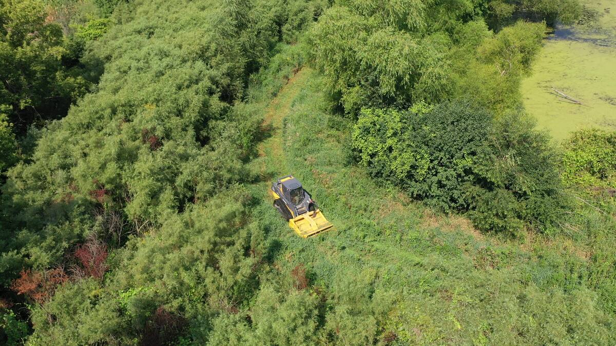 Forestry mulcher cutting a curving trail through dense brush near a pond