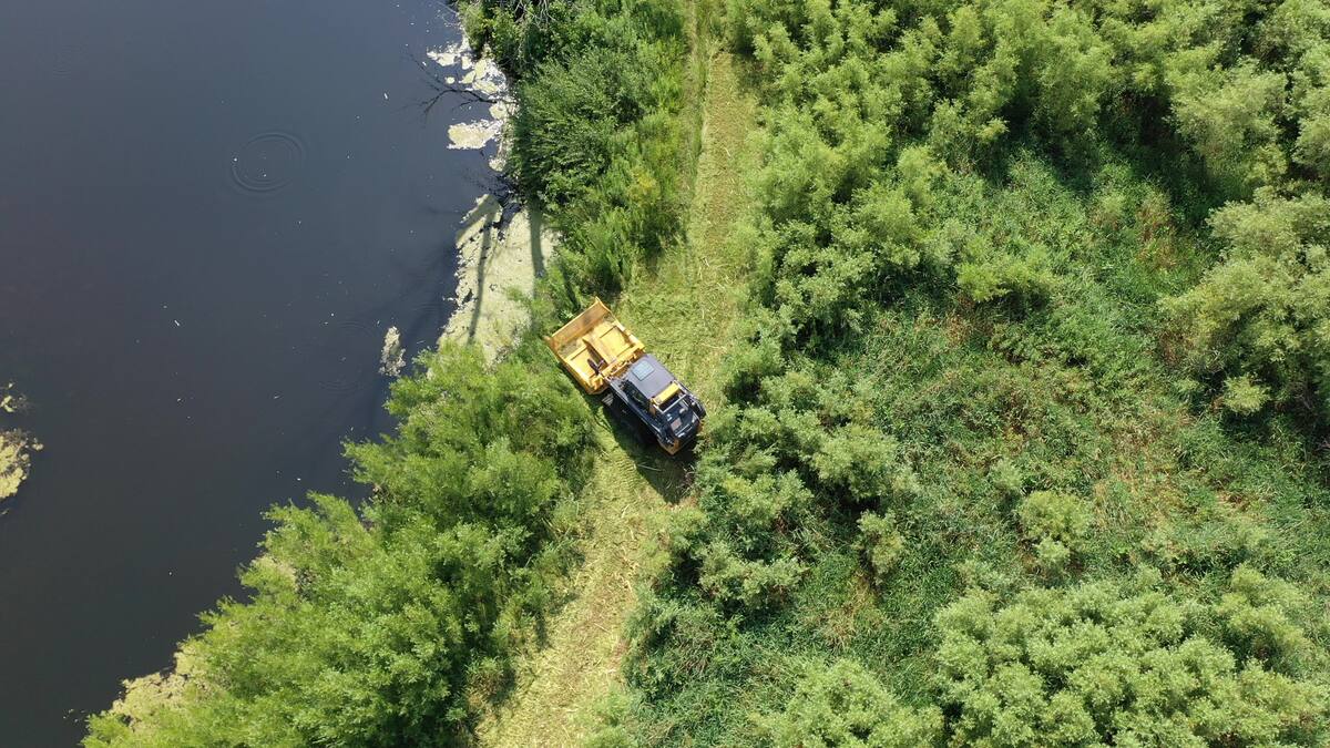 Forestry mulcher clearing a trail along a pond's edge