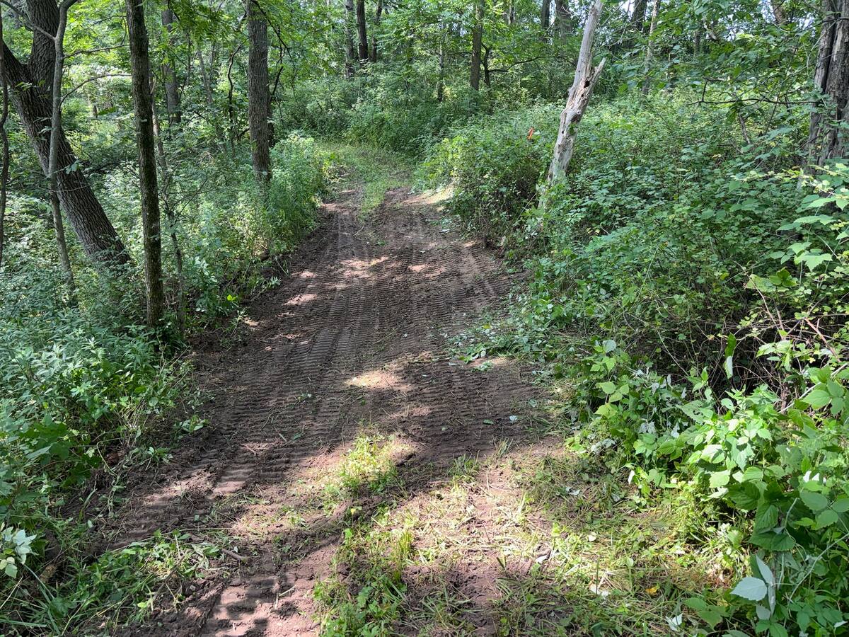 A freshly graded dirt trail winding through the woods on a hunting property